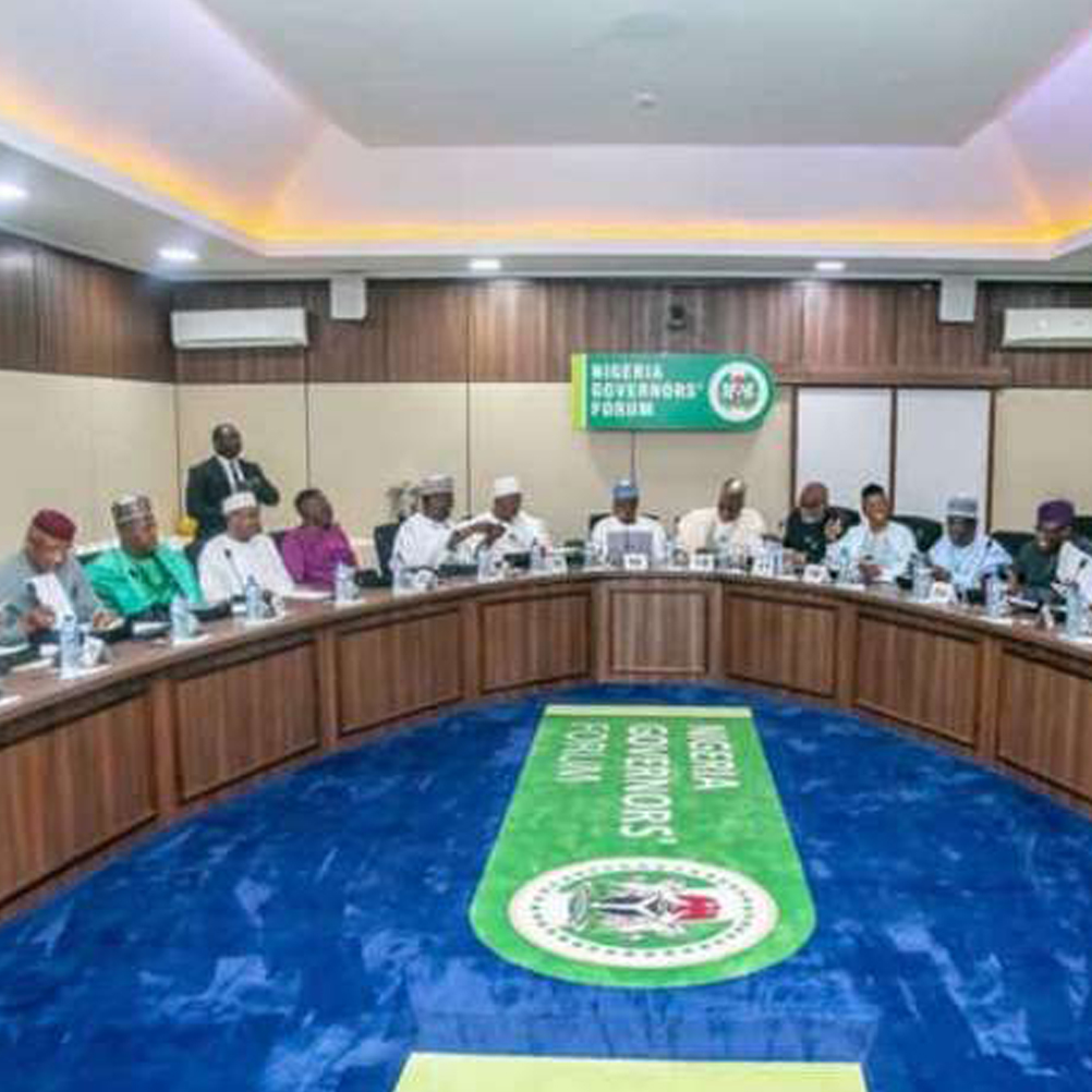 NESG Delivers presentation on NGF-NESG Economic Roundtable (NNER) to Nigeria Governors Forum